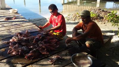 Carlos and Fredis cleaning Lion Fish for staff and guests to enjoy! 